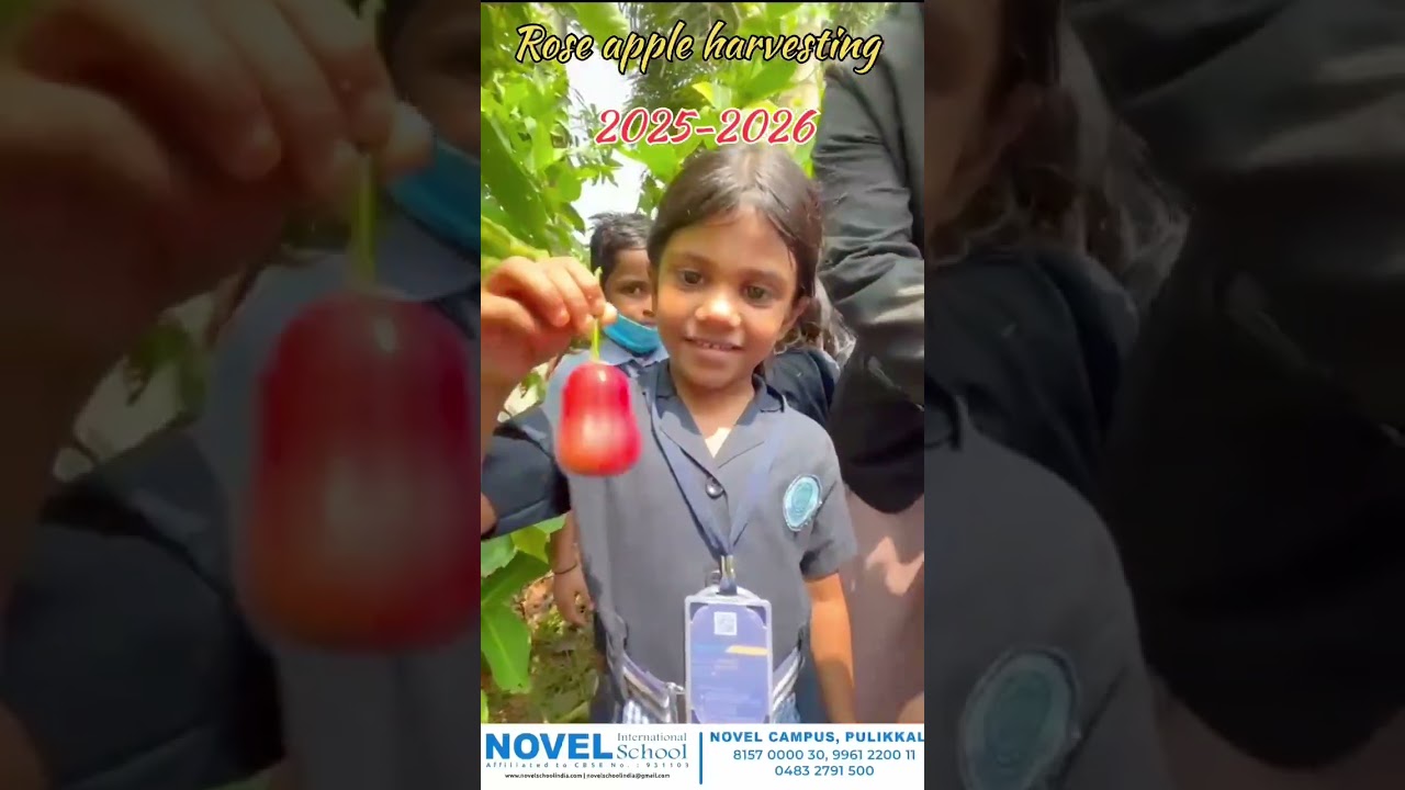 “Nature in little hands