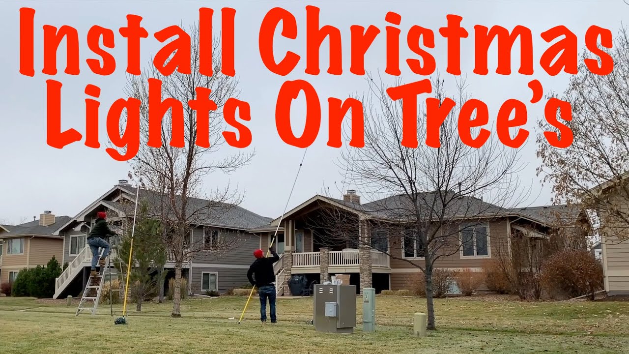 How to Install Christmas Lights on Tree's