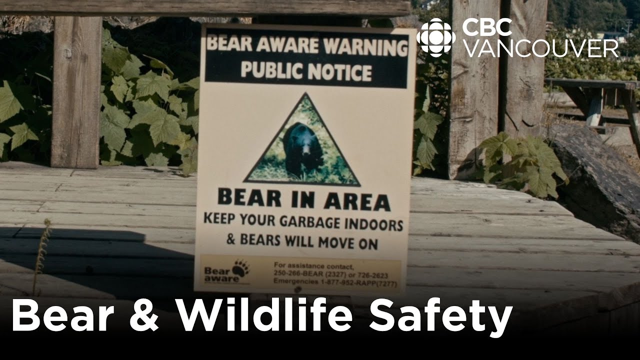'Keep it bare when you're not there' | Learn about campsite safety | CBC Creator Network