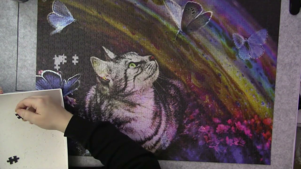 Katzen Puzzle