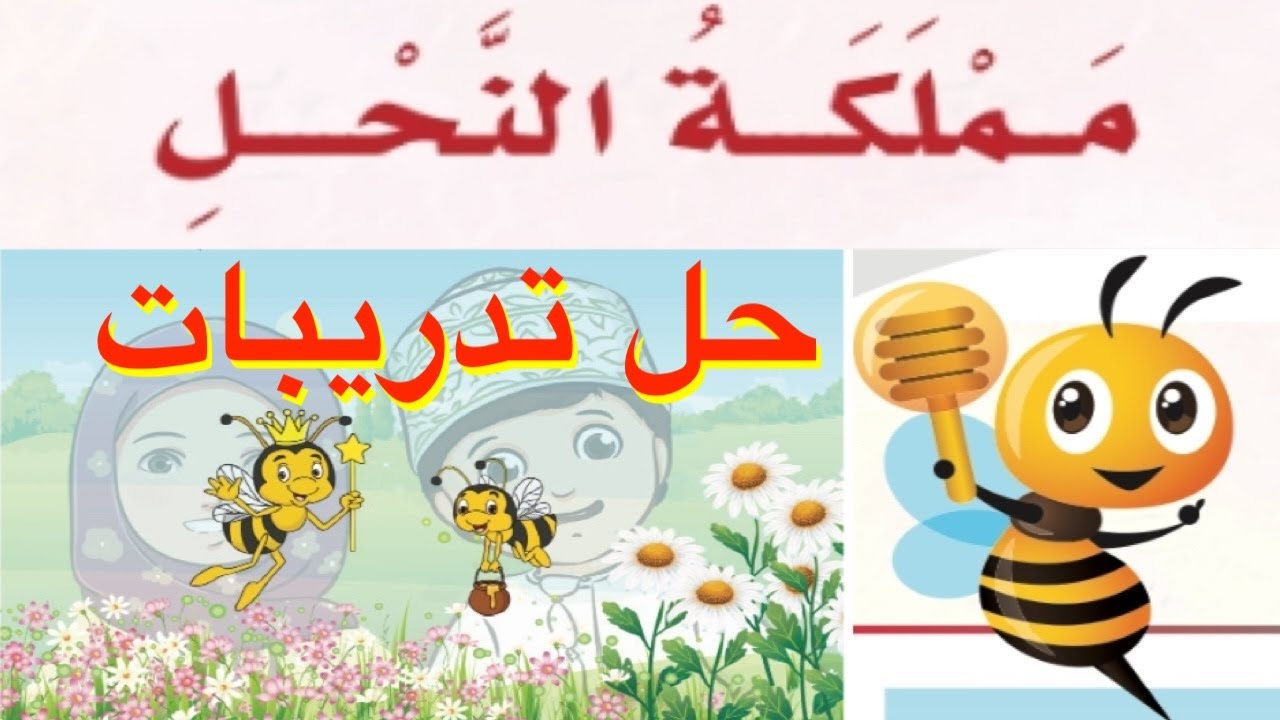Mr&Mrs BaBaYoYo | حل تدريبات درس | مملكة النحل (مملكة عجيبة) | لغة عربية | الصف الرابع | ف٢