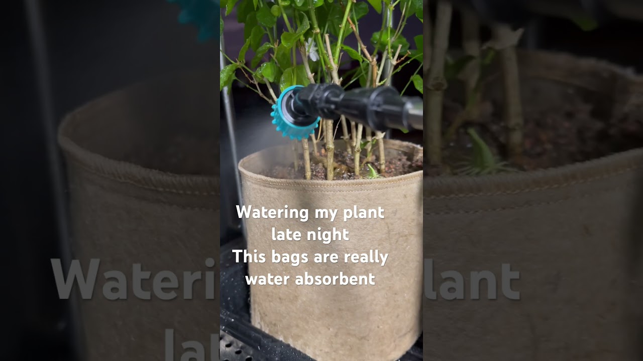 Fabric pots | Water absorbent | Air Pruning | 3 Gallon Pots | Produced by Swift Garden Supply