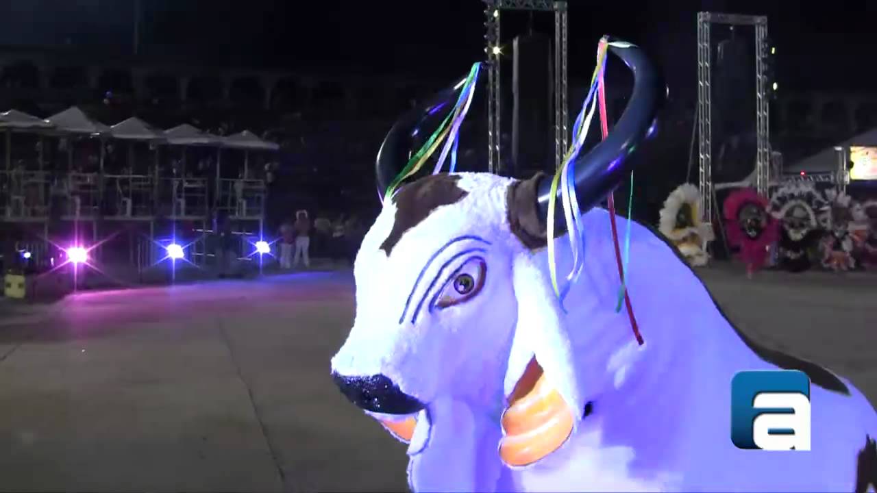 Boi Bumbá Corre Campo no 3ª noite do Festival Folclórico do AM