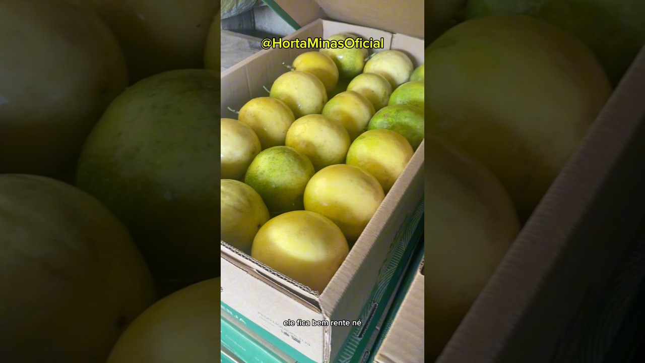 Quiabo Dobrou de Pre&ccedil;o 🙏🏼🤠 #agro #agricultura #agroneg&oacute;cio