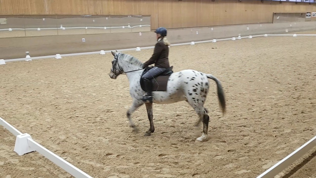 Lätt C1 den 31 okt 2019