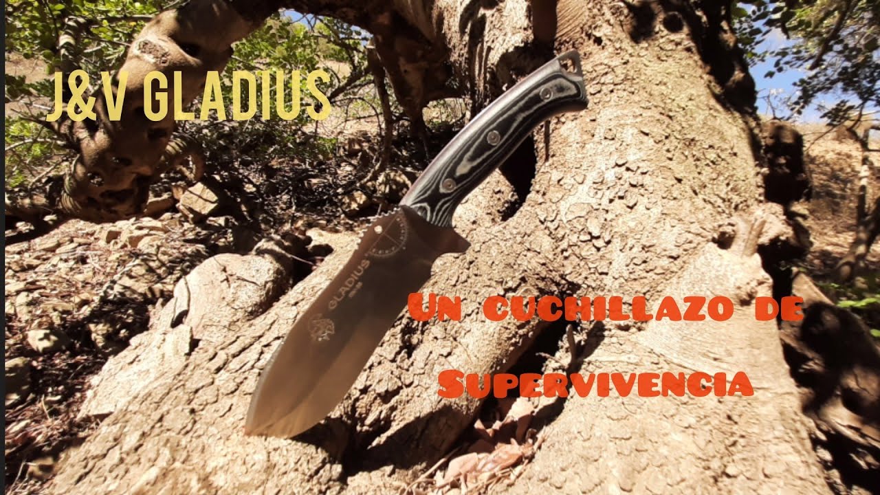 J&V GLADIUS un SUPER CUCHILLO MULTIPROPOSITO #bushcraft #bushcraftknife #supervivencia
