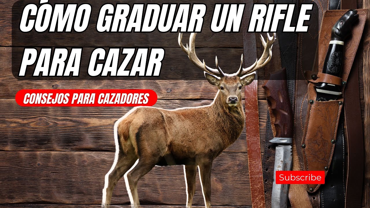 Cómo graduar un rifle para cazar y olvídate de las torretas.