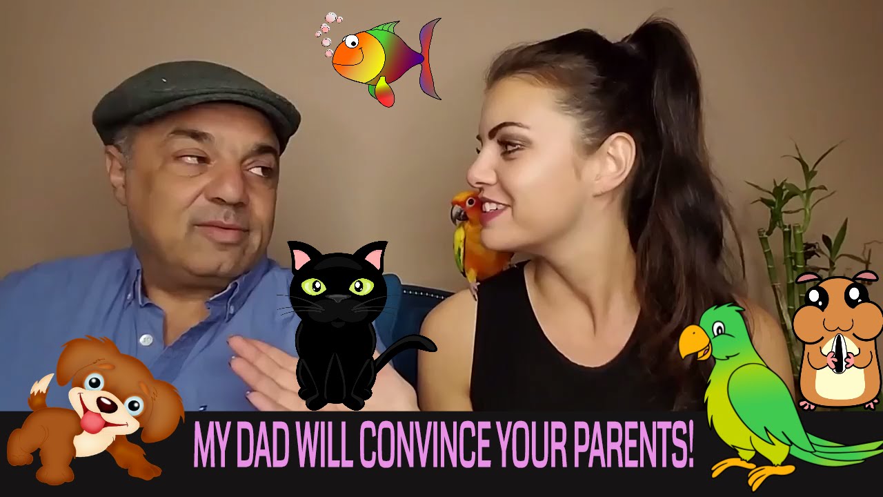 How To Convince Your Parents To Let You Get a Bird or Pet, My Dad Speaks! (Show Them This!!) | PTT