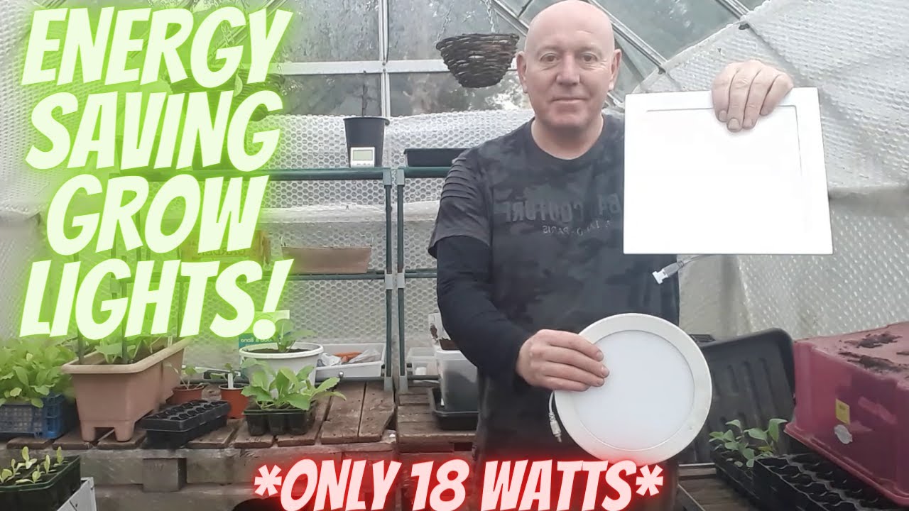 Energy Saving Grow Lights [Gardening Allotment UK] [Grow Vegetables At Home ]