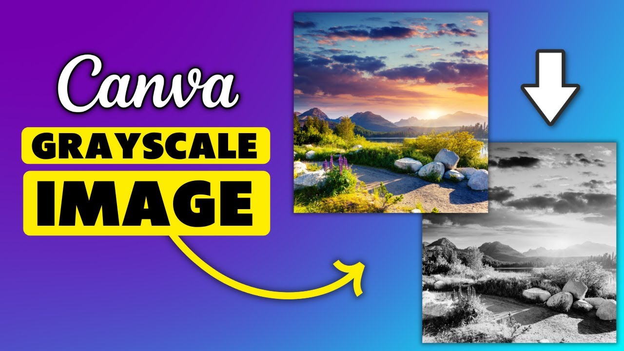 How To Grayscale A Photo In Canva