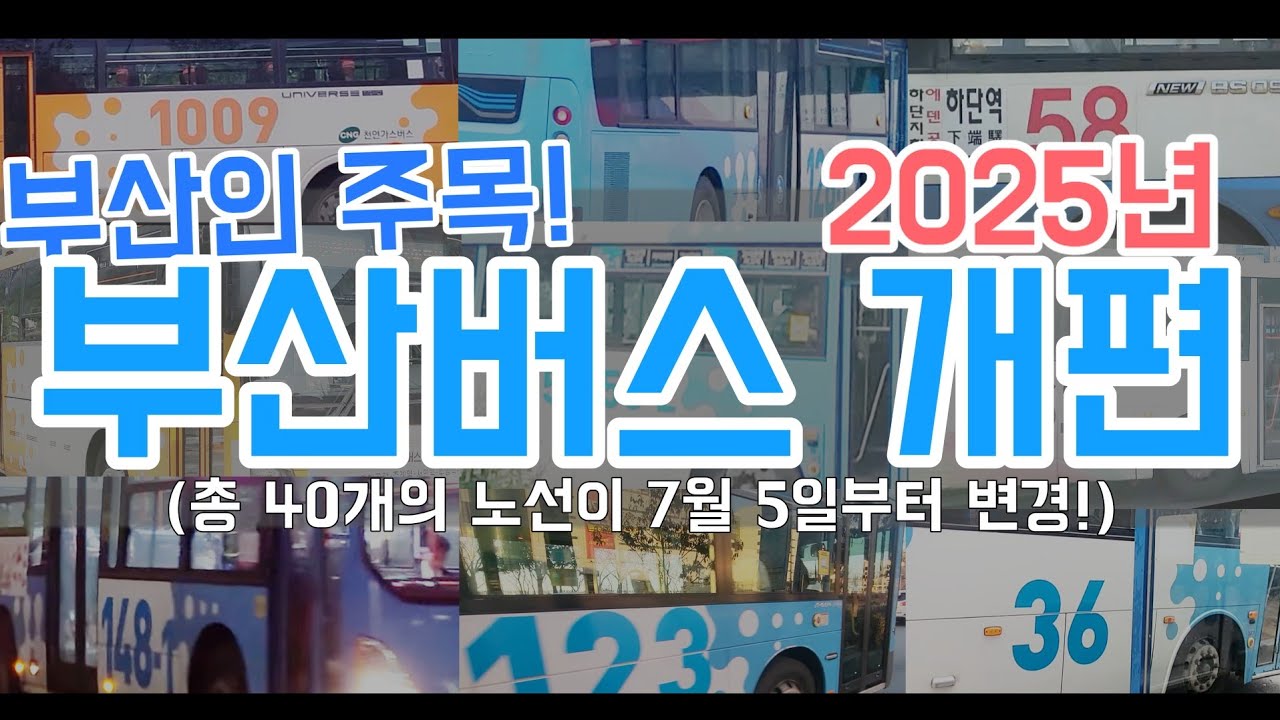 약 2년만에 또 대개편 한다고? 2025 부산시내버스 노선 개편!!