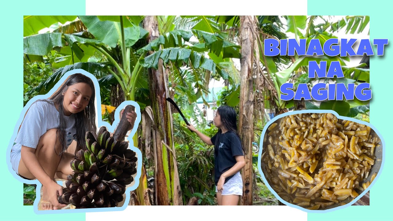 BINAGKAT NA SAGING NA SABA | BUHAY PROBINSYA | Vlog#77