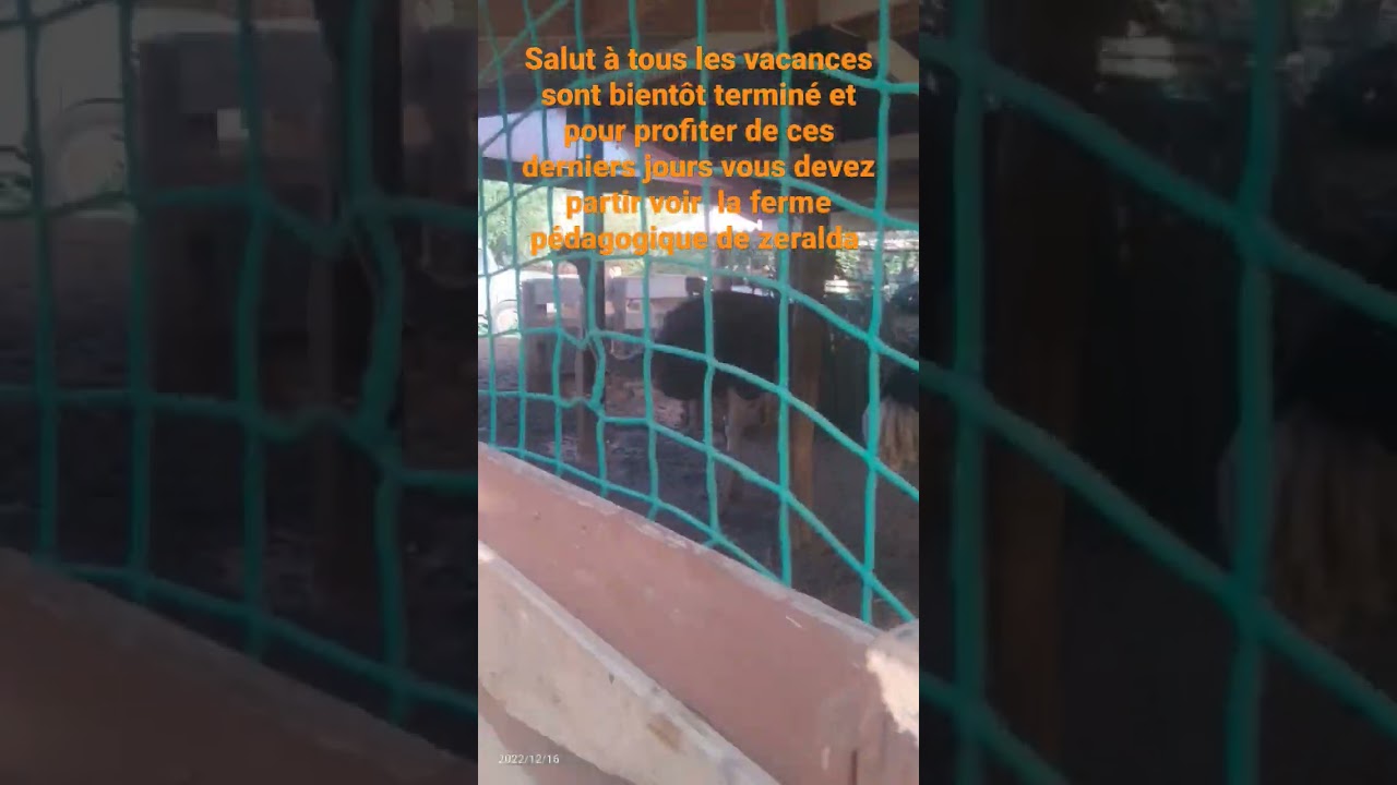 la magnifique ferme de zeralda