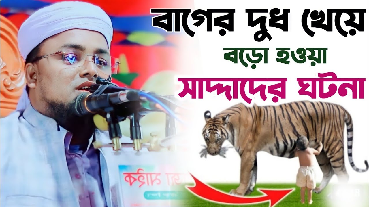 বাগের দুধ খেয়ে বড় হওয়া সাদ্দাদের ঘটনা।হাফেজ মাওলানা শরিফুল ইসলাম কলরবঢাকা।Maulana SharifulI islam