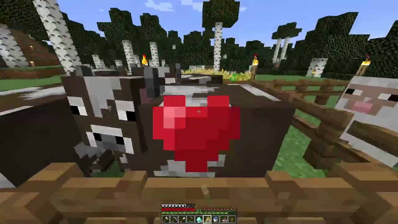 Hard Craft Episode 2