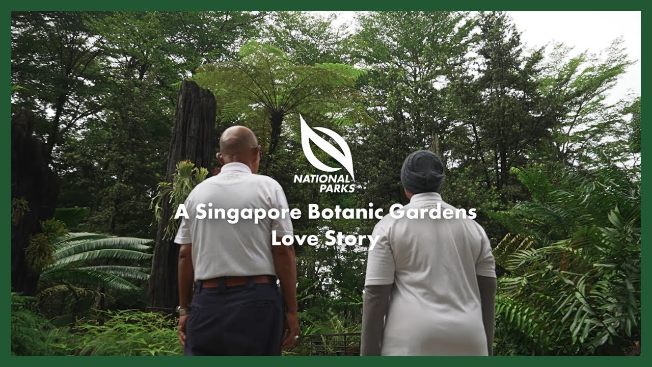 NParks Portraits | A Singapore Botanic Gardens Love Story