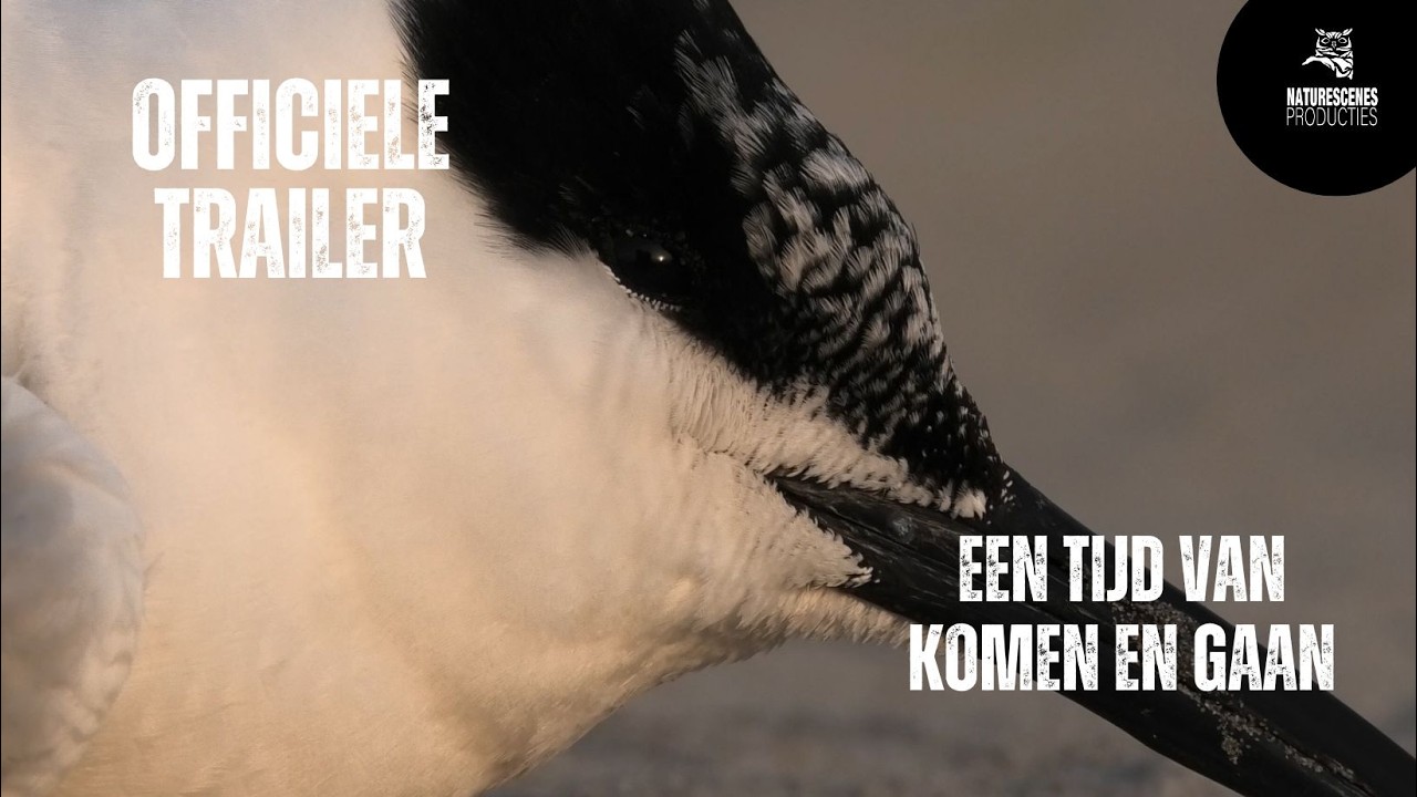 Officiële Trailer: 'Een tijd van komen en gaan'.