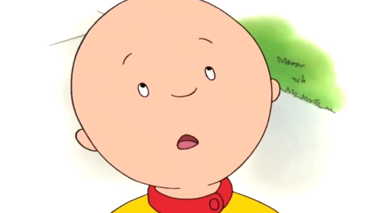 Caillou - 5 Horas | Caillou en Español Castellano