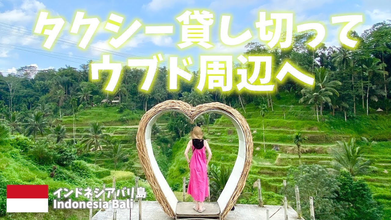 【インドネシアバリ島旅行】10時間タクシー貸切ってウブド周辺へ！ドライバーさんにバリ島文化をインタビュー！[Indonesia Bali trip] 10 hours taxi charter