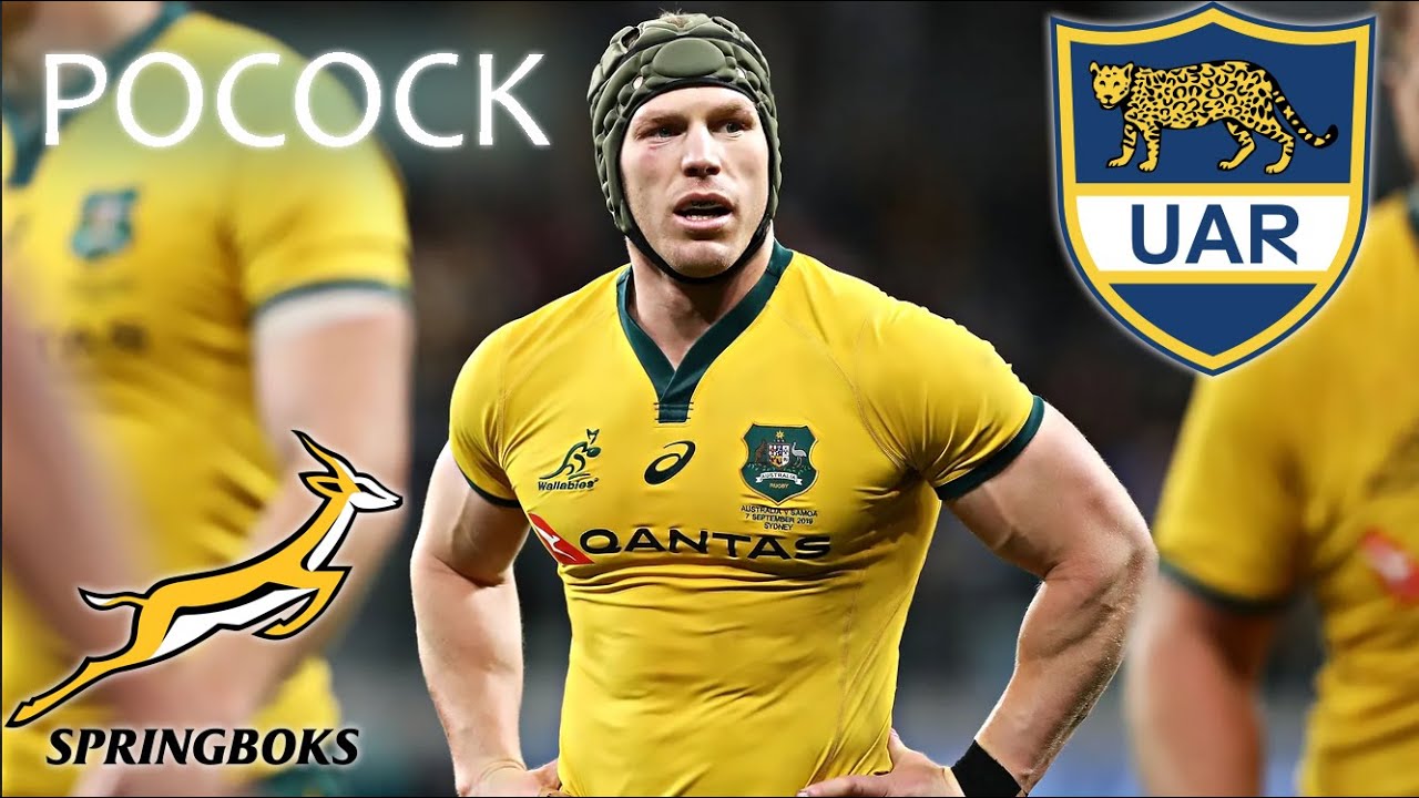 Pocock EXCELLENT All-Round v Boks/Pumas