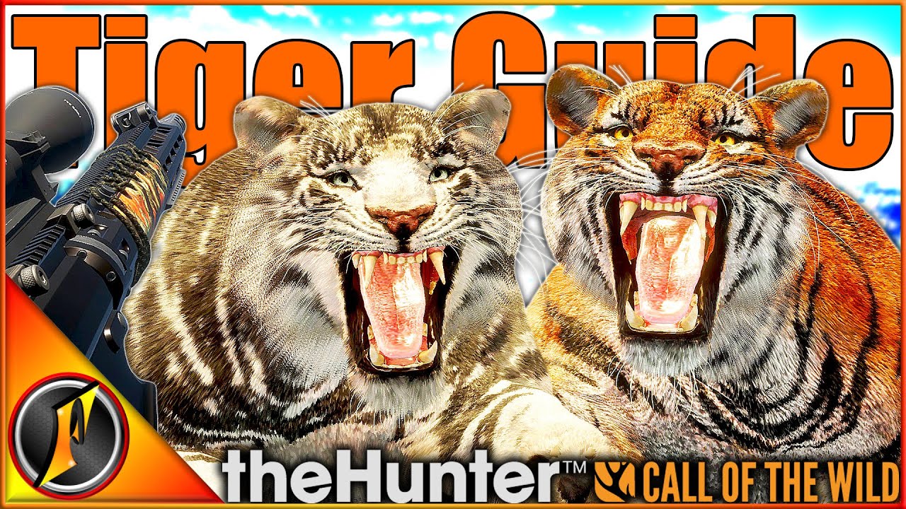 Как охотиться на тигров! | Места, зоны, время и многое другое! | theHunter Зов дикой природы