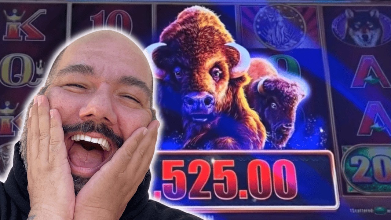 BUFFALO STAMPEDE STRUCK BIG!!!!!!!!!!