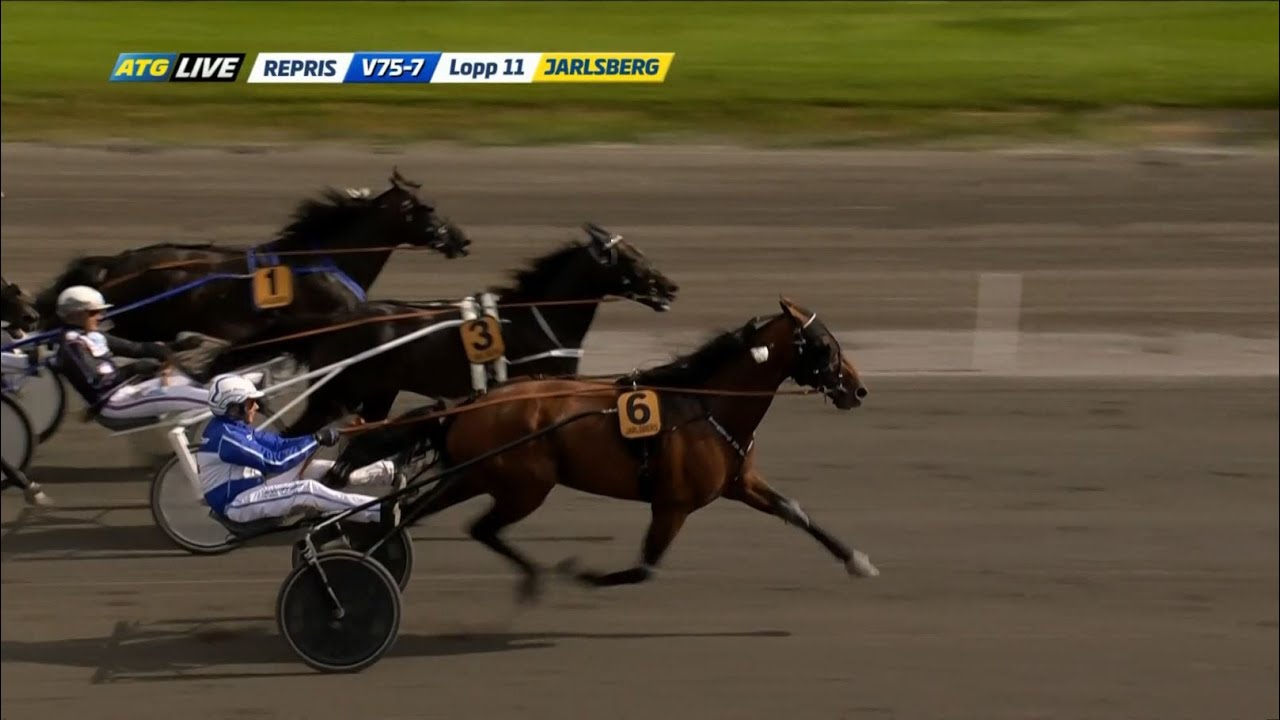 Ulf Thoresen Grand International 2019, Vitruvio