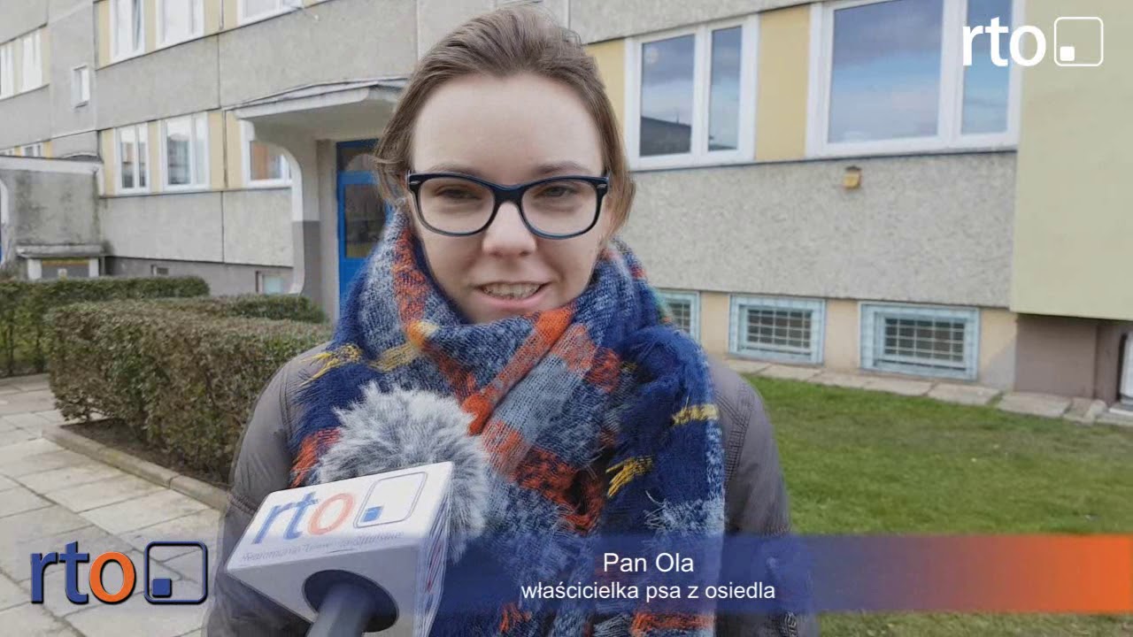 Owczarek zagryzł yorka co mówi wlascicielka zabitego psa