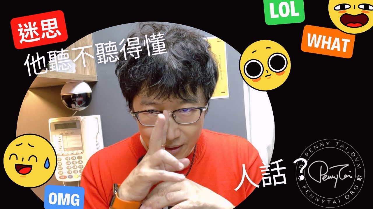 狗聽得懂人話嗎？貓聽得懂人話嗎？他們到底聽不聽得懂人話？
