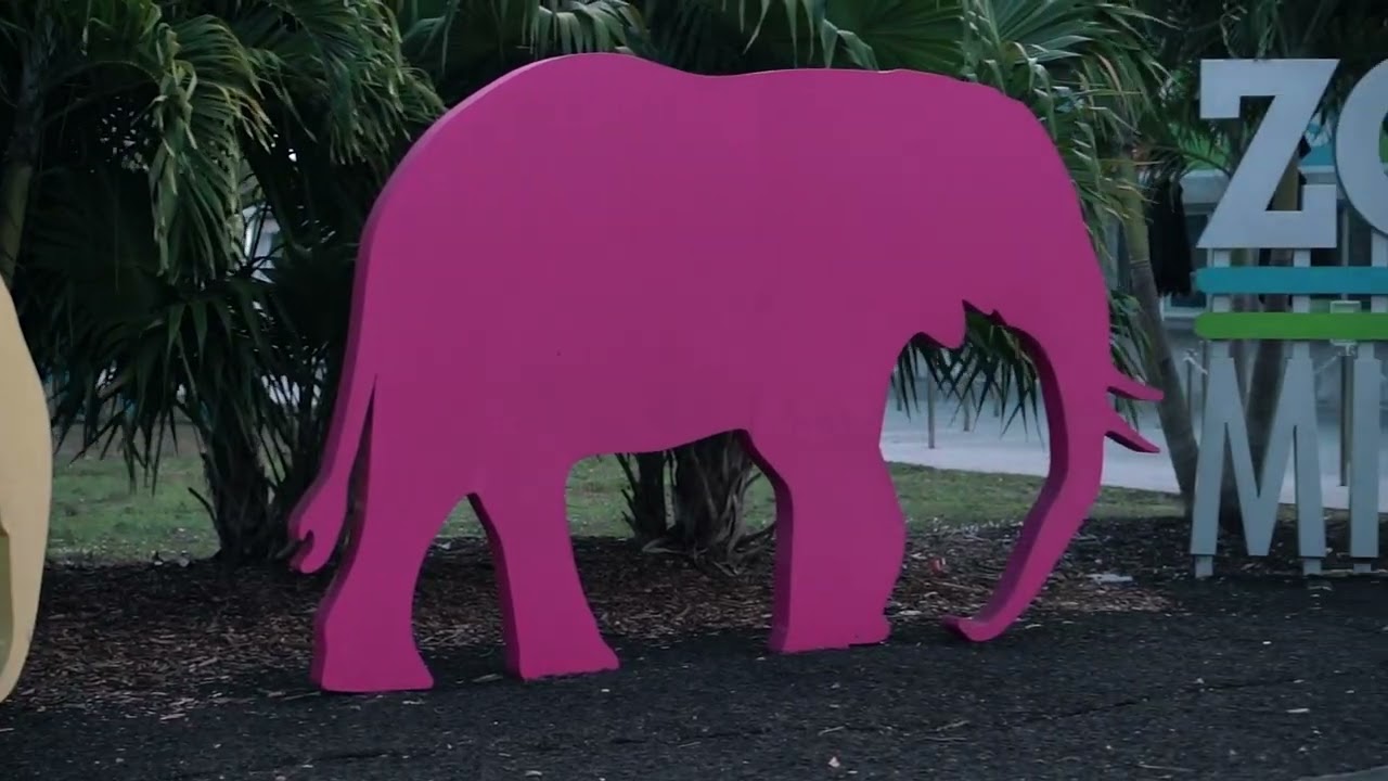 Family-friendly Activities in Greater Miami & Miami Beach