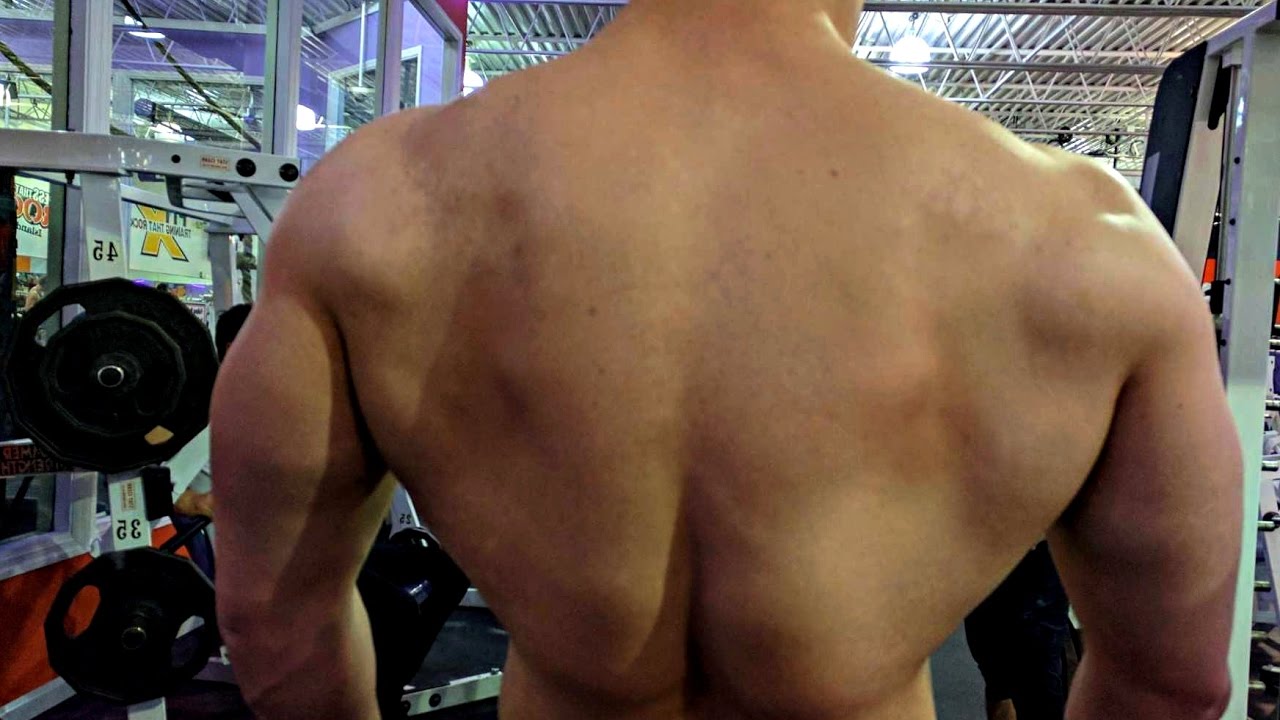 BACK AND CHEST PUMP UP WORKOUT