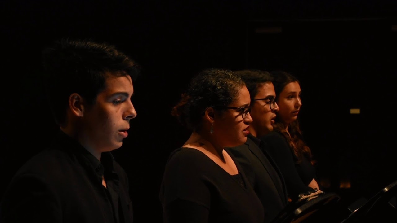 Mozart: Lacrimosa from Requiem in D minor (Daniela Santos)