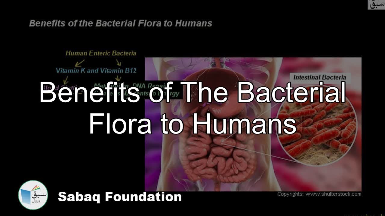 Benefits of The Bacterial Flora of Humans, Biology Lecture | Sabaq.pk
