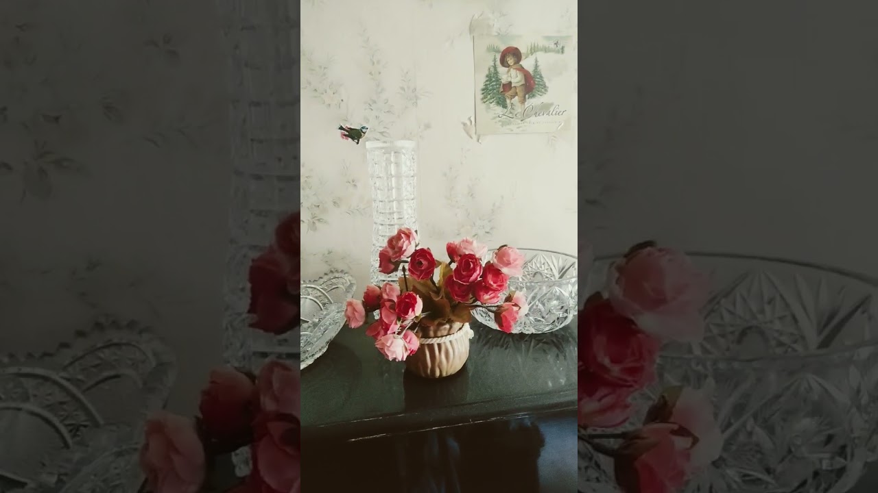 Cheri Cheri  Lady #darksong #youtube  #shorts #musicmemes  # chericherilady #musicvideo