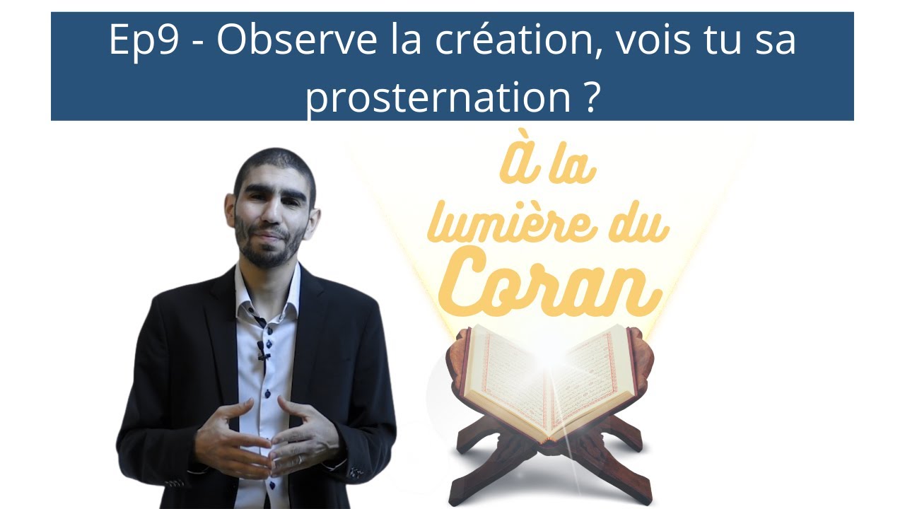 9 - Observe la création, vois tu sa prosternation ?