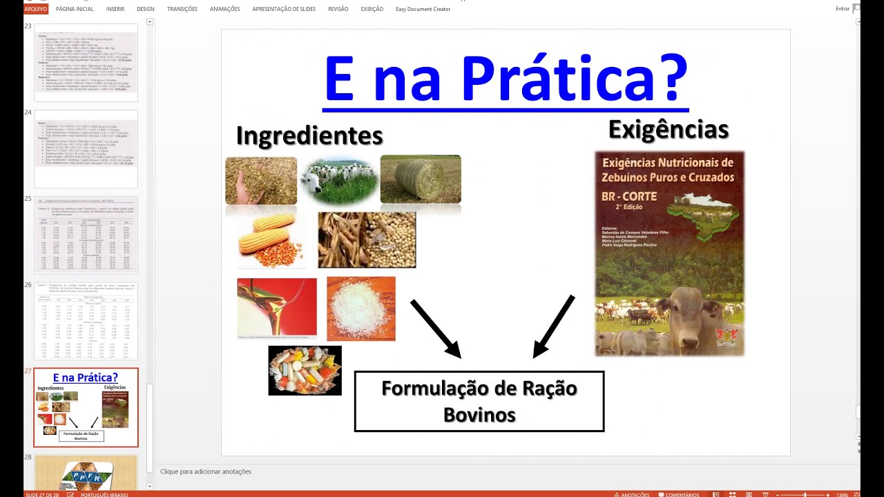 Bovinos de Corte Versão não-linear / Programa Prático para Formulação de Rações