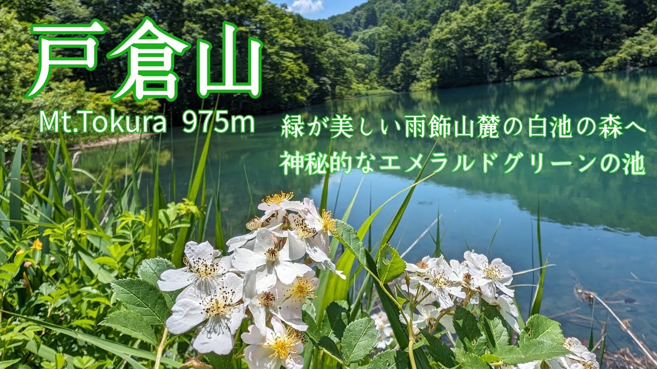【戸倉山】2024.6.14 雨飾山麓しろ池の森　エメラルドグリーンに輝く白池と低山だけど眺め抜群！360度のパノラマ広がる山頂へ