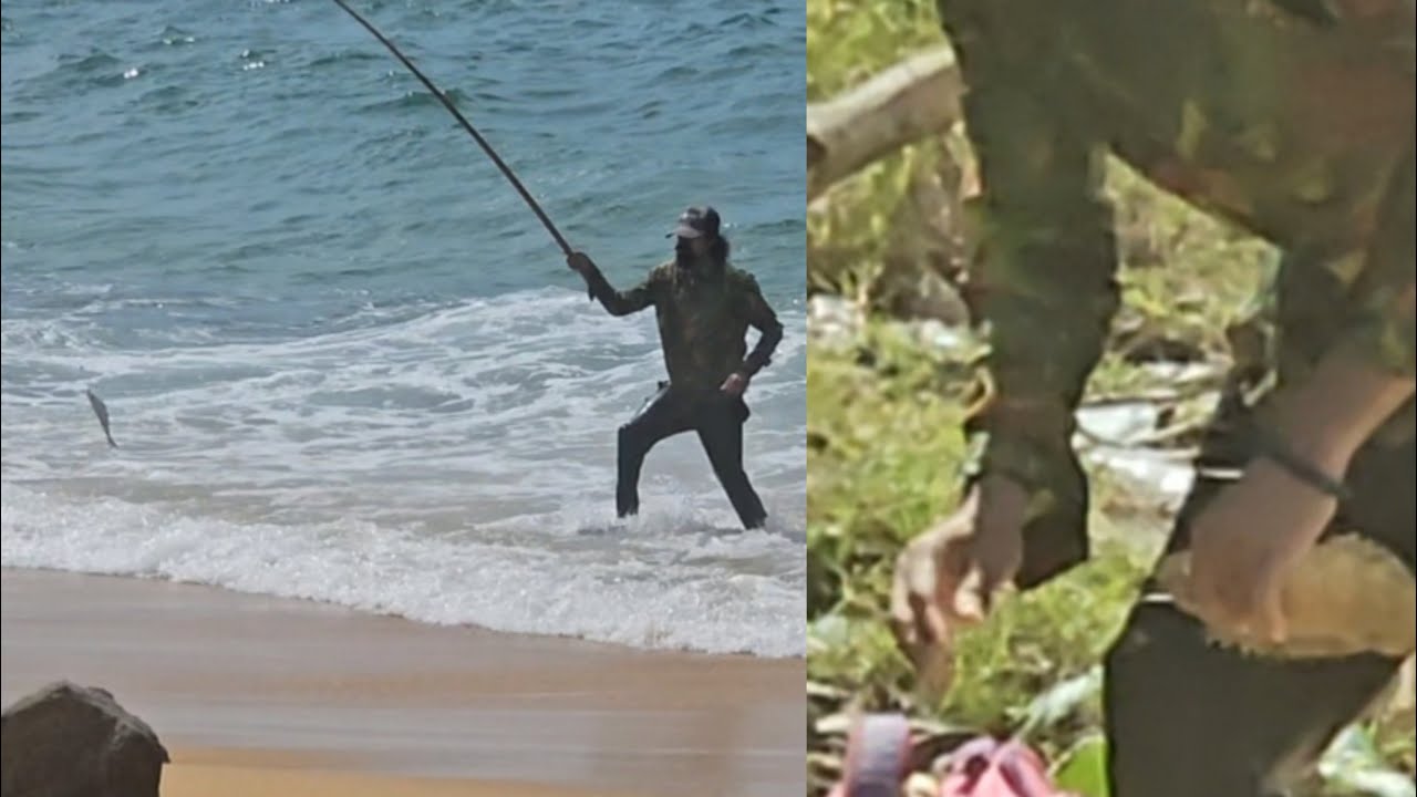 Traditional Rod, Legendary Sea Catch🐟