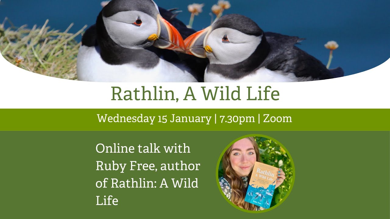 Rathlin, A Wild Life