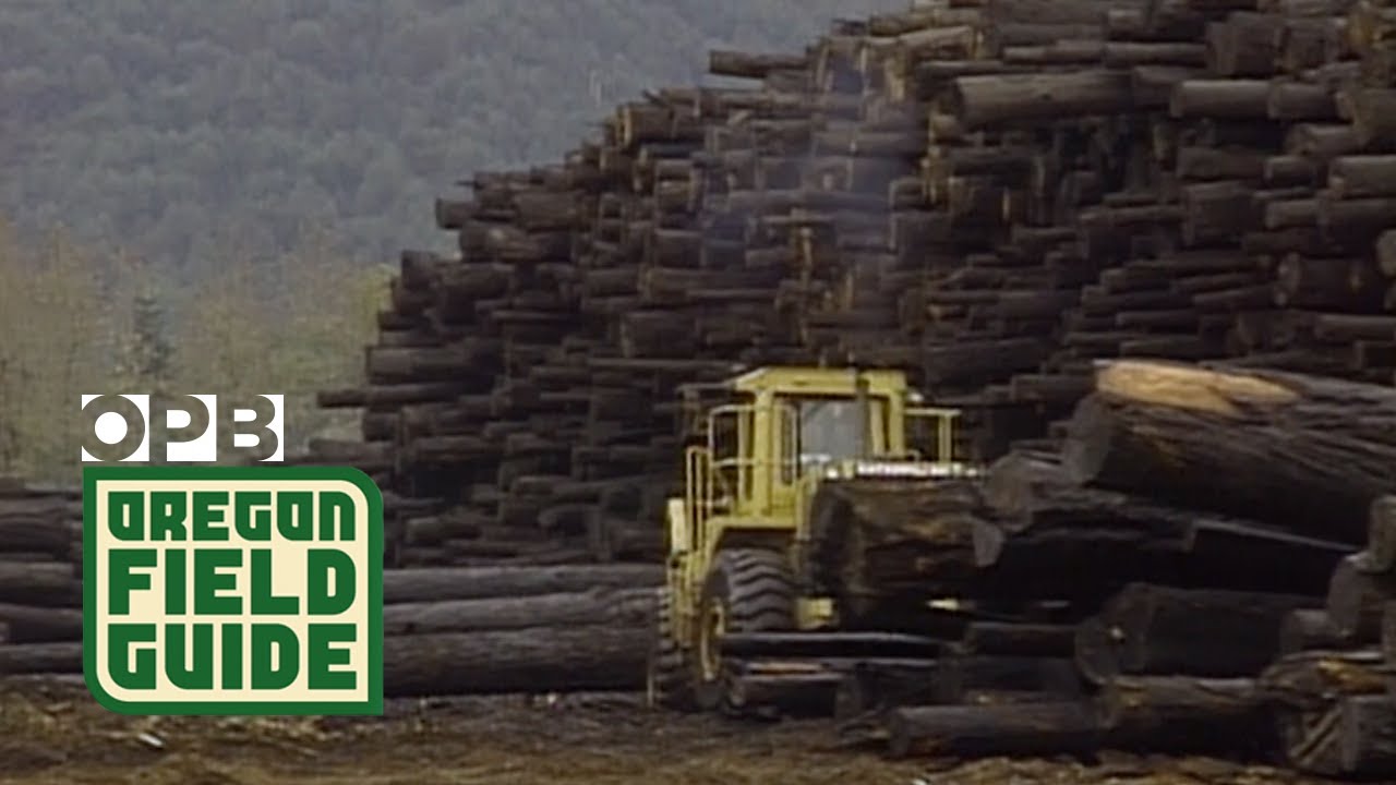 ‘Timber Wars’ reach Mill City | Oregon Field Guide from the OPB Archives