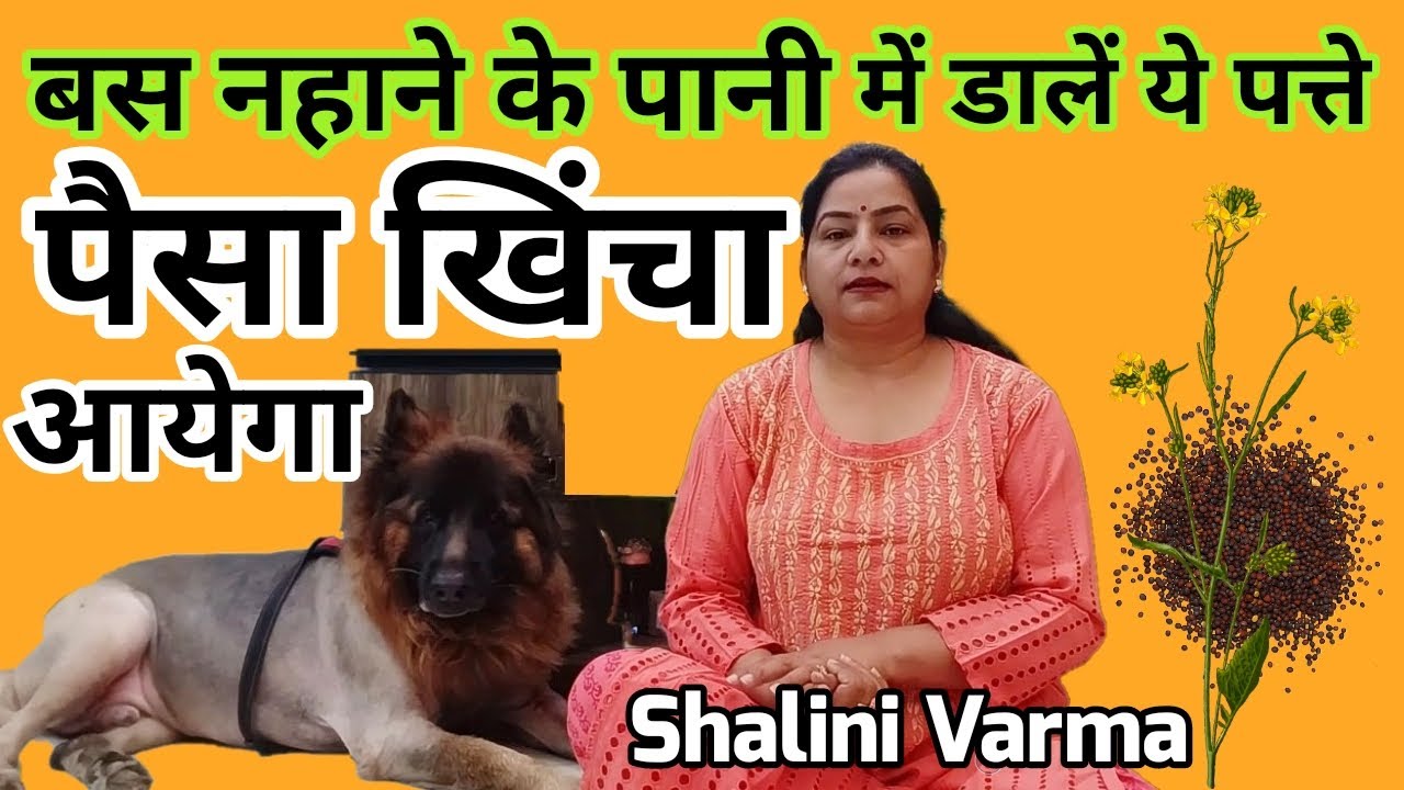 बस नहाने के पानी में डाल लें ये पत्ते पैसा चुंबक की तरह आयेगा |राई के टोटकेreiki#upay@funnylife566