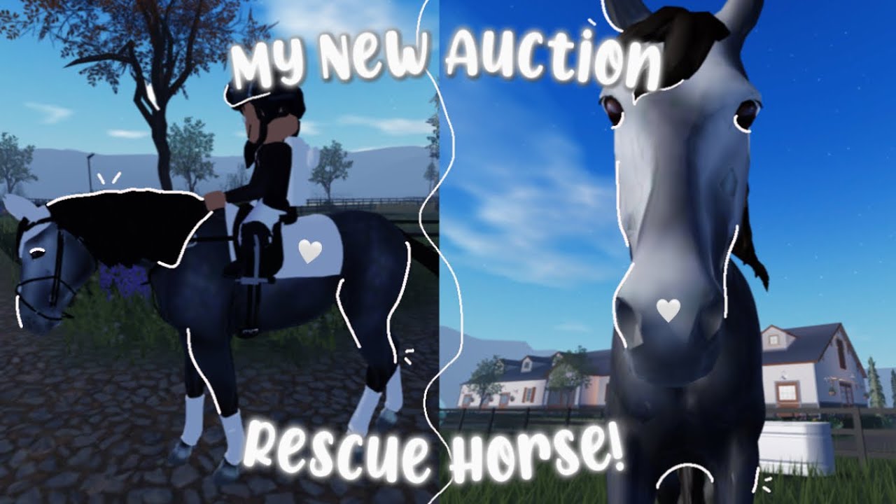My New Auction Rescue Horse! || 🤍 || ~ Glamourdale