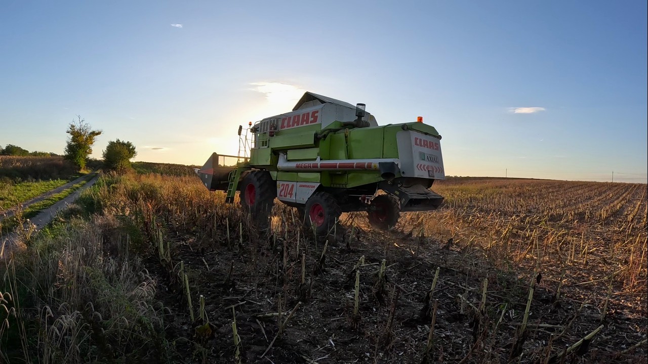 VÉGZÜNK az ESŐ előtt?! l Napraforgó aratás 2025 l Claas Mega 204 - John Deere