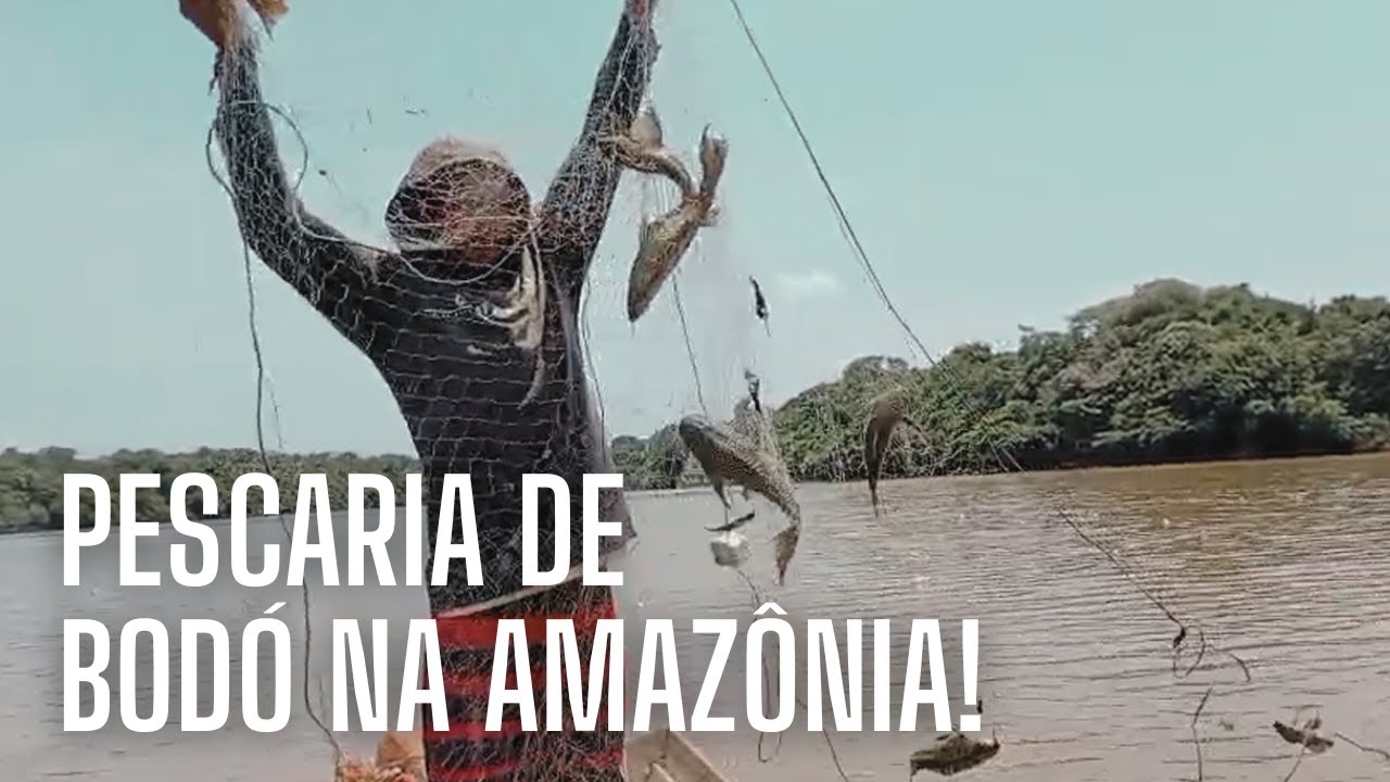 PESCANDO BODÓ BRUTO! 😱 No Coração da AMAZÔNIA!