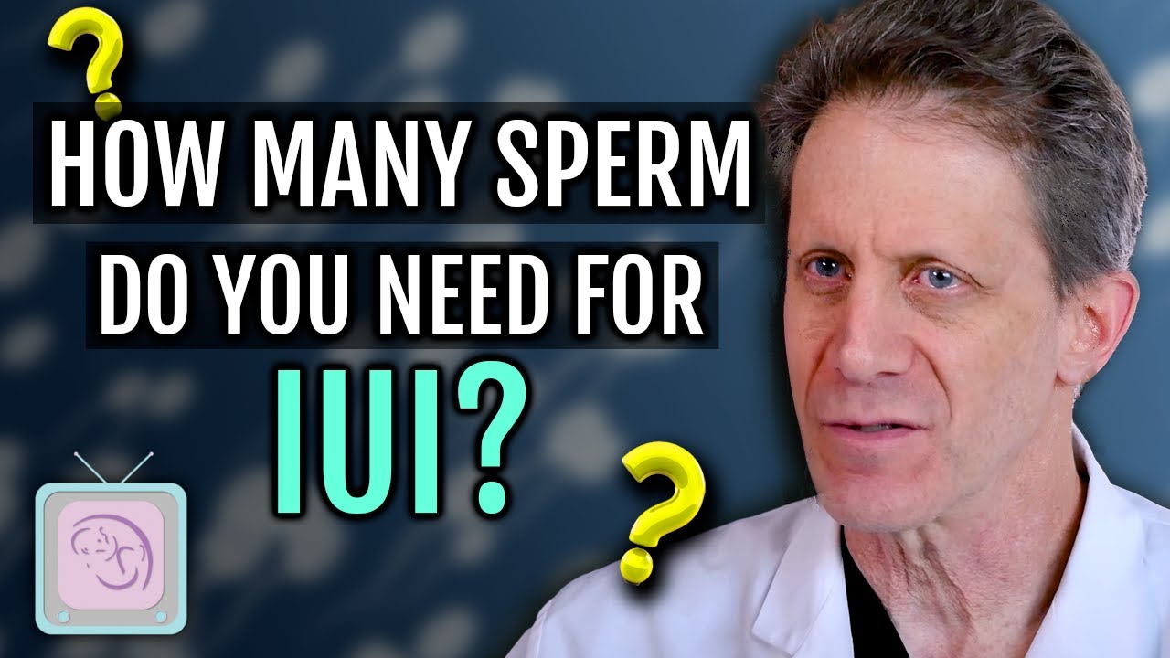 IUI - Сколько вам нужно спермы?