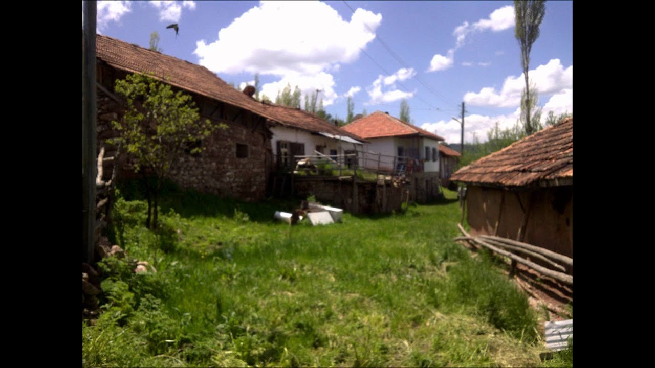 umit dogan sitma koyu org 5.wmv