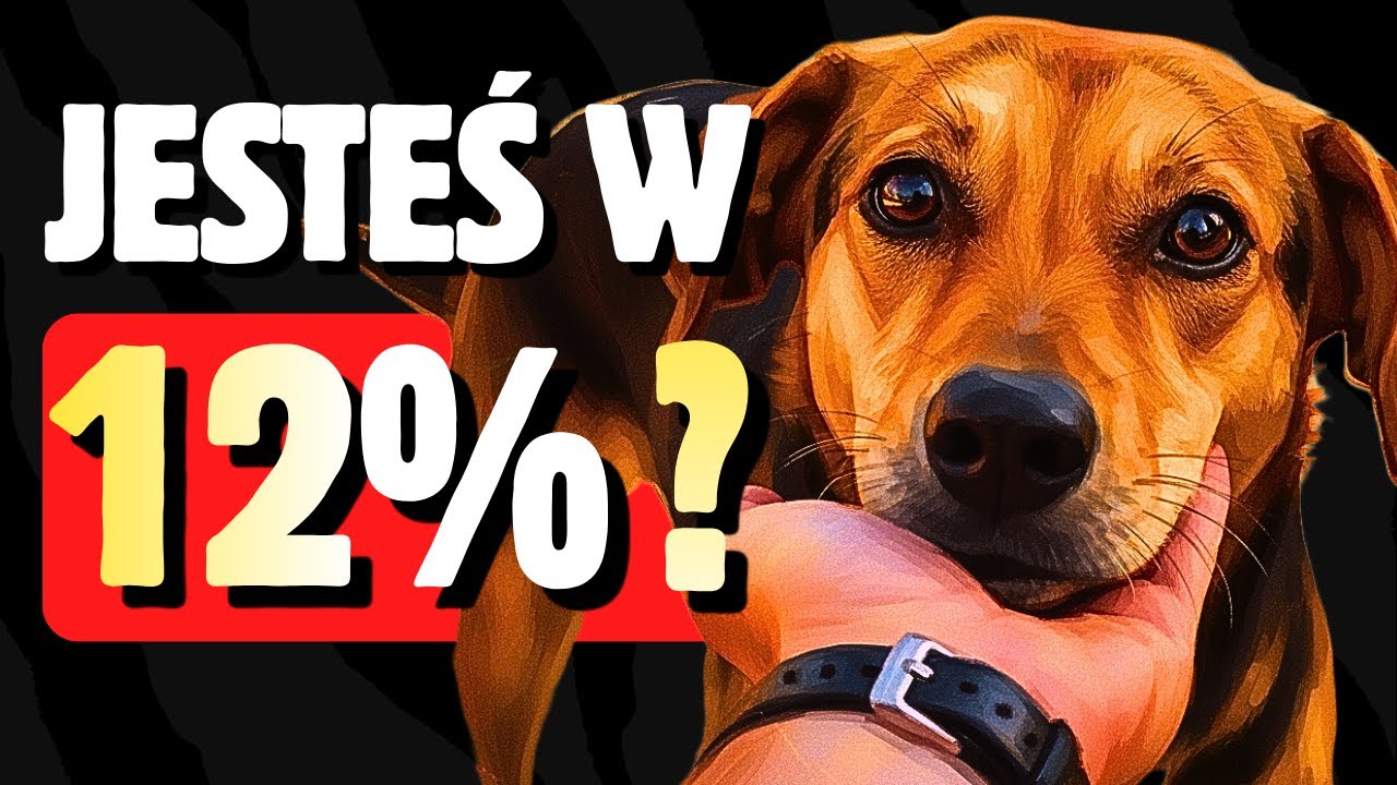 Czy Obce Psy ZAWSZE Do Ciebie Podchodzą Na Ulicy (Jesteś w 12%)