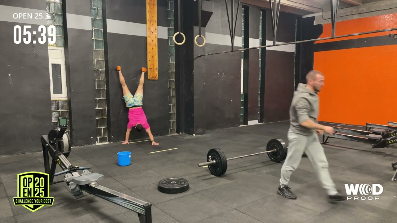 25.3