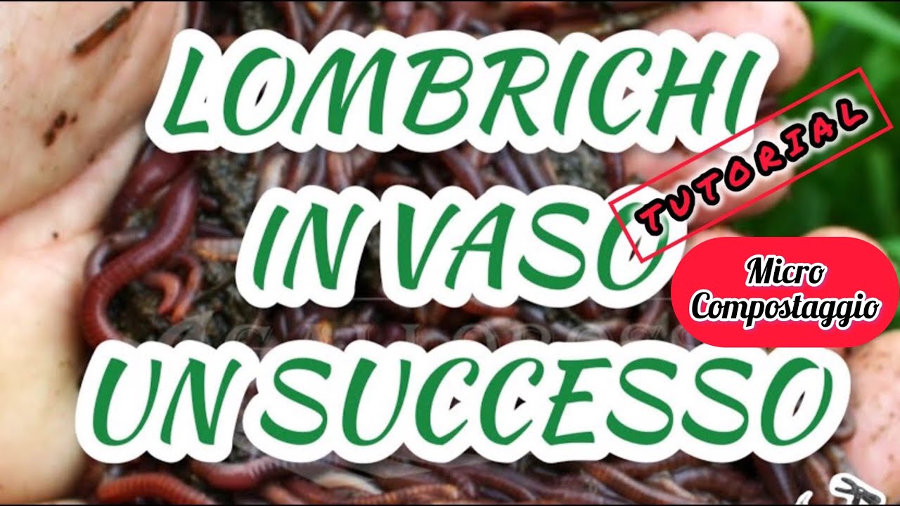 Tutorial Micro compostaggio con lombrichi domestico e' facile.