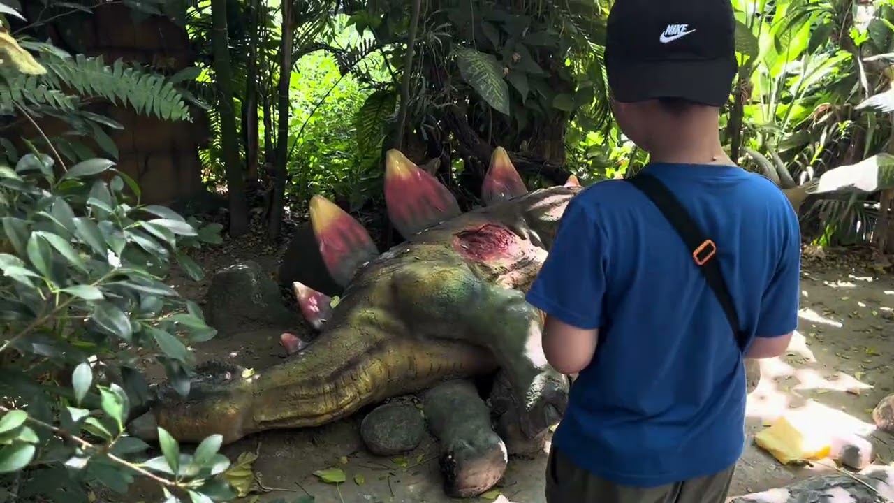 Field trip | clark safari | science museum | Dinosaur Island
